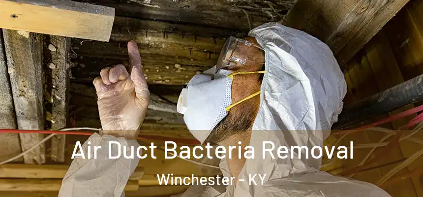 Air Duct Bacteria Removal Winchester - KY