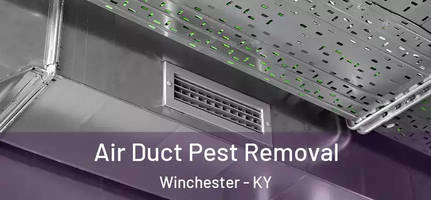 Air Duct Pest Removal Winchester - KY