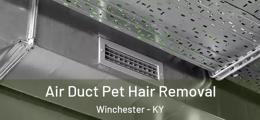  Air Duct Pet Hair Removal Winchester - KY