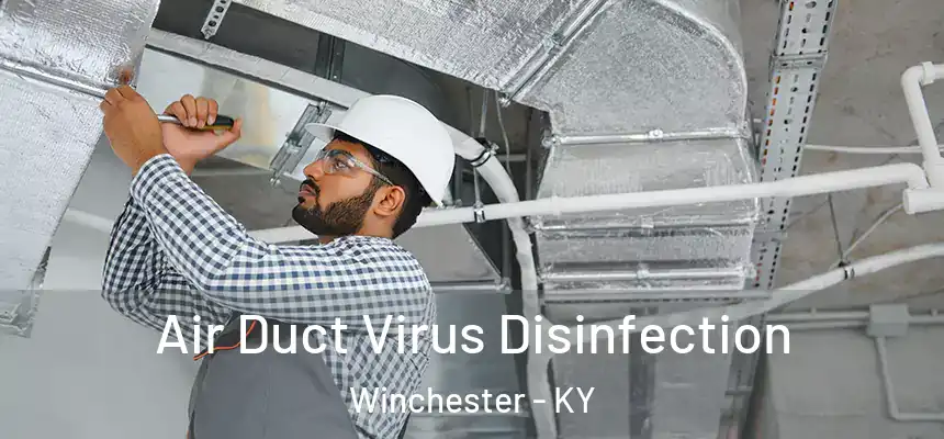  Air Duct Virus Disinfection Winchester - KY