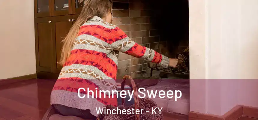 Chimney Sweep Winchester - KY