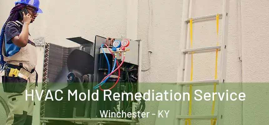  HVAC Mold Remediation Service Winchester - KY