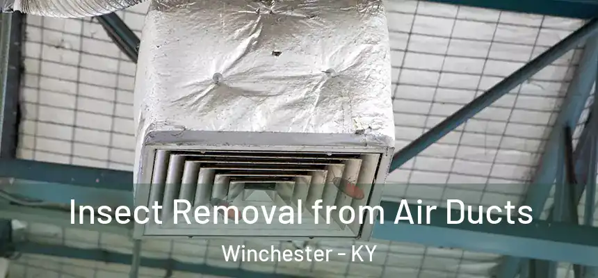 Insect Removal from Air Ducts Winchester - KY