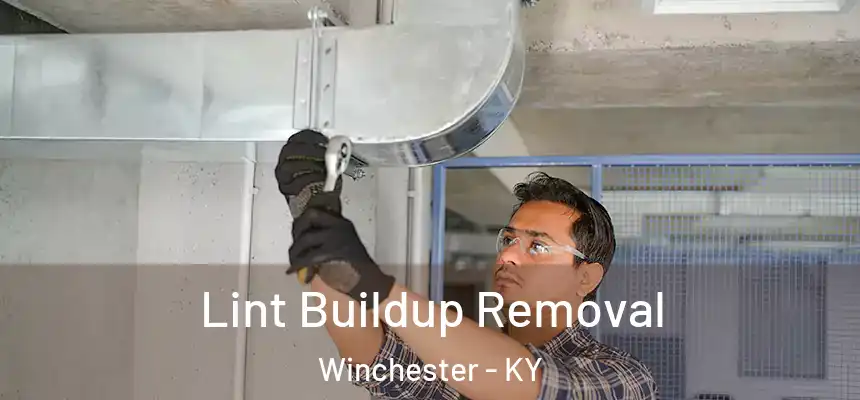 Lint Buildup Removal Winchester - KY