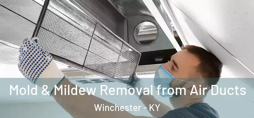  Mold & Mildew Removal from Air Ducts Winchester - KY