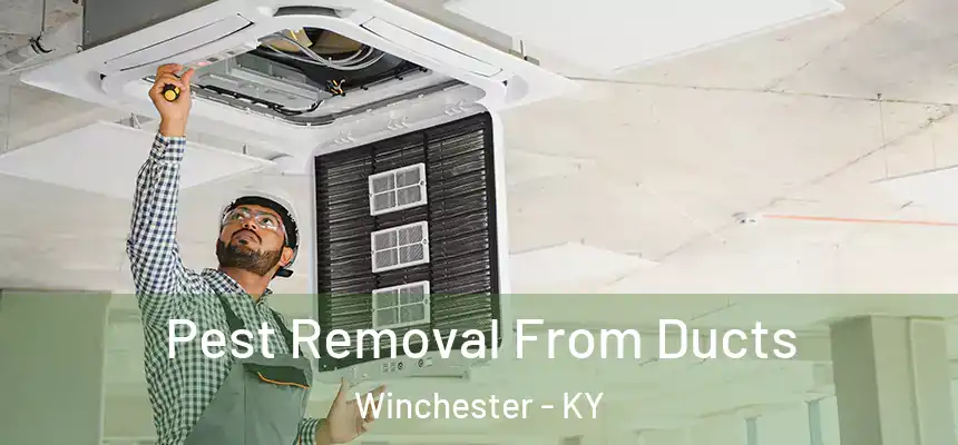  Pest Removal From Ducts Winchester - KY