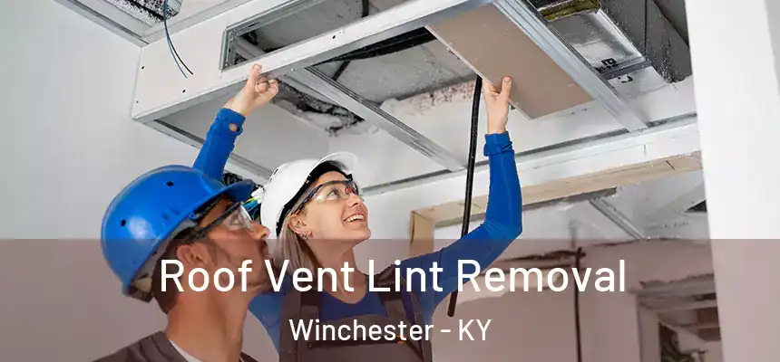  Roof Vent Lint Removal Winchester - KY