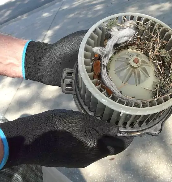 About Air Duct Rat Removal in Winchester, KY