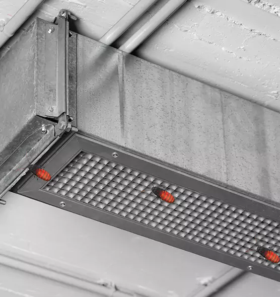 Affordable Insect Removal from Air Ducts in Winchester, KY