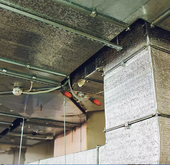 Why Homeowners & Businesses Trust Us Winchester, KY?